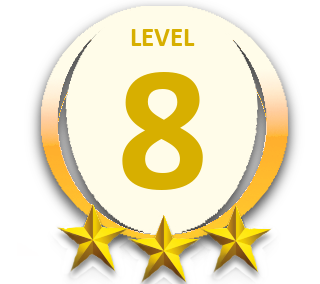 Level 8