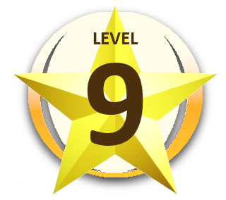 Level 9